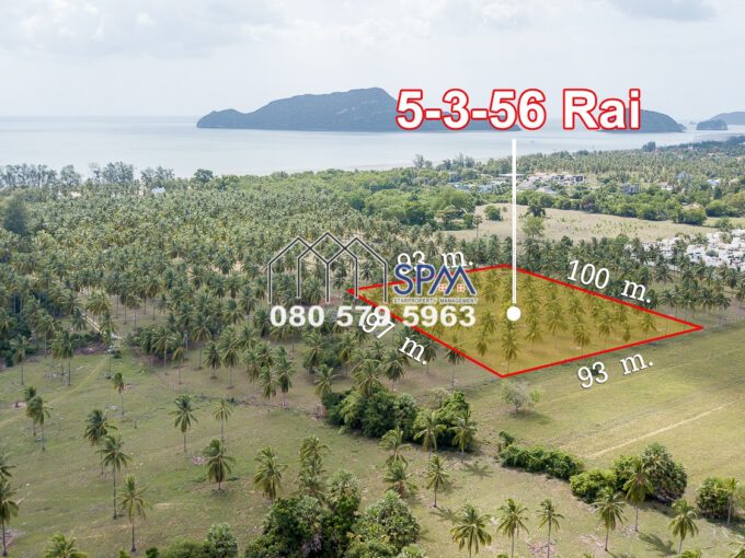 Farm Land for Sale Full Title deed price 4 Million Baht per Rai, 350 meter from the Samroiyod Beach