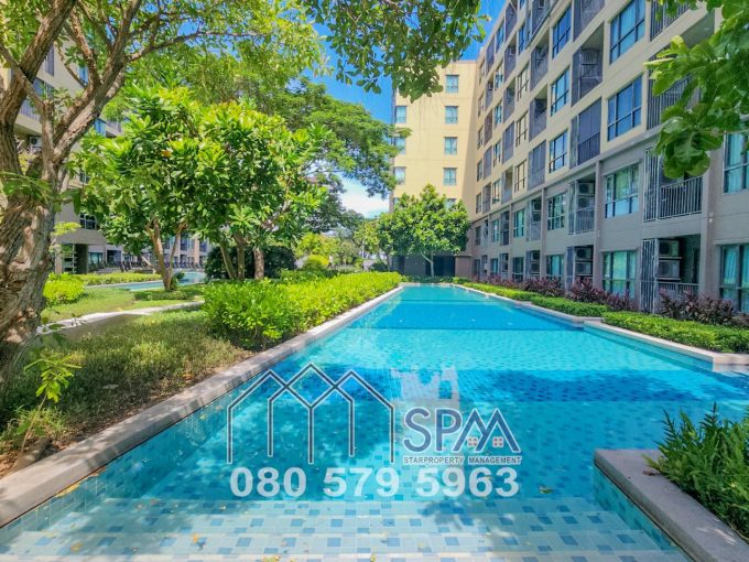 HOT DEAL 1 Bedroom Unit Pool View, 40.5 sq.m. at Rain Condominium ChaAm for sale, Price 1.99 Million Baht